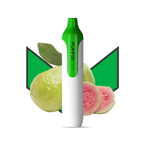 
            
                Load image into Gallery viewer, PUFFMI DISPOSABLE PEN (1500 PUFFS)
            
        